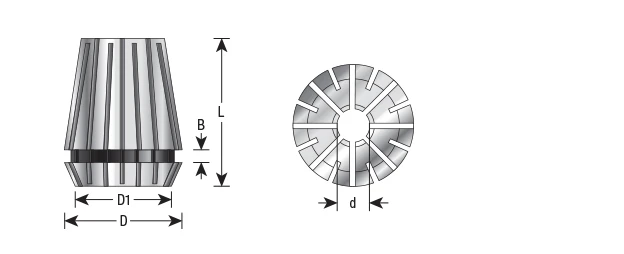CO-100-L-v3-6
